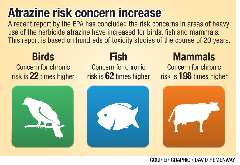 Chemical warfare EPA study on atrazine has farmers concerned herbicide