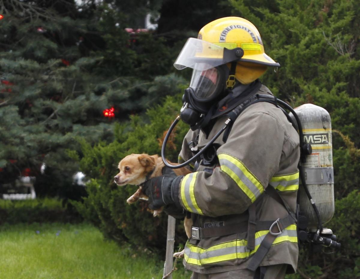Firefighters Save 2 Dogs From House Blaze See The Pictures Local News Wcfcourier Com Minute within a woman's dog was trapped in a squat toilet in mengzi, china's southwest yunnan province, firefighters were able to get her pet out of the. firefighters save 2 dogs from house