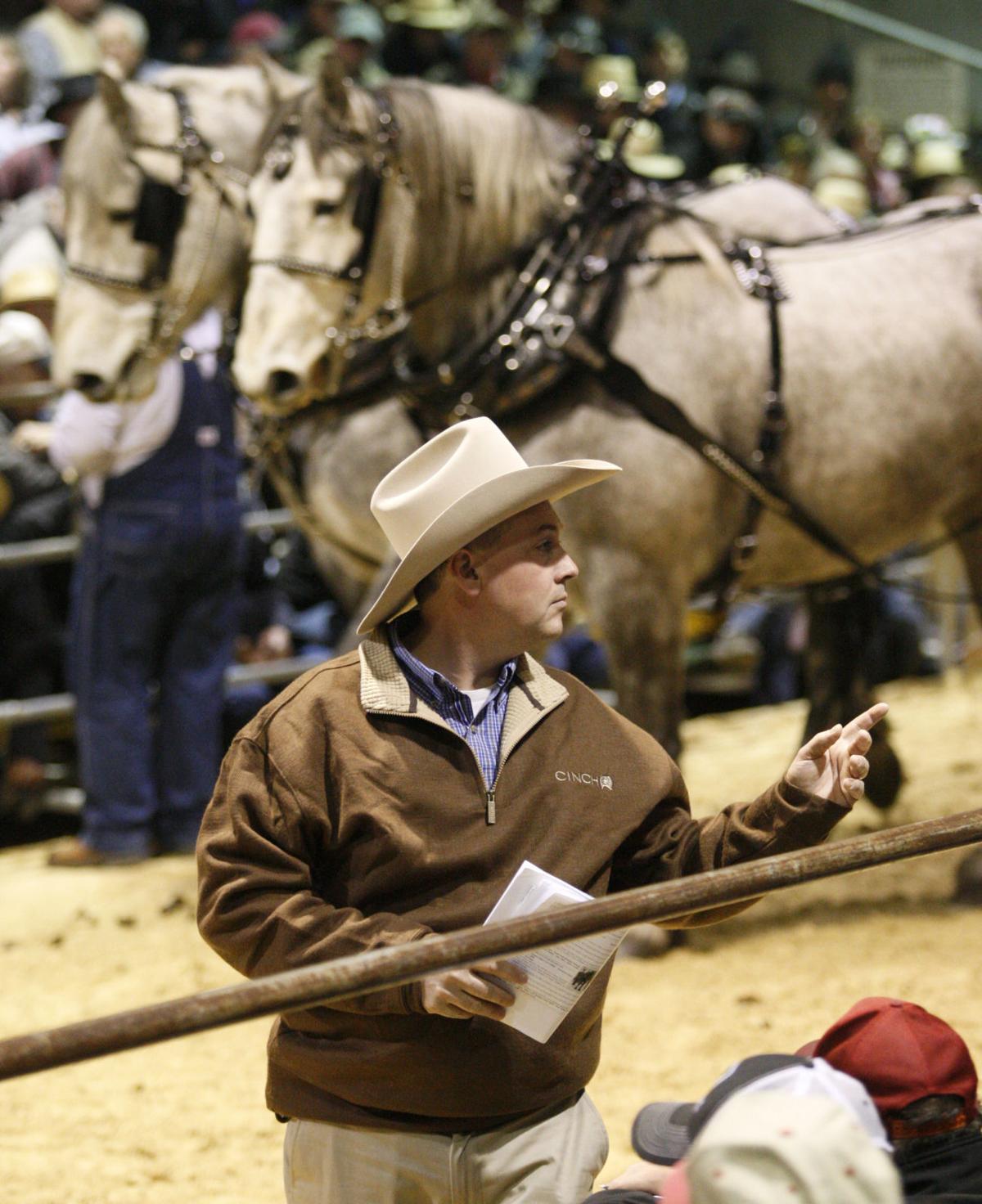 Waverly horse sale attracts enthusiastic bidders from across the