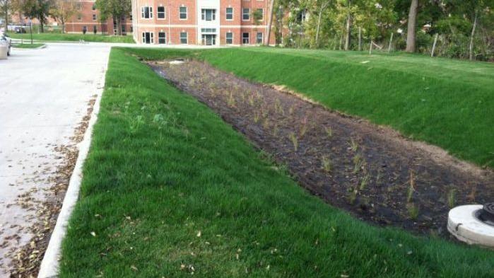 'Bioretention cells' built to improve water quality | Political News ...