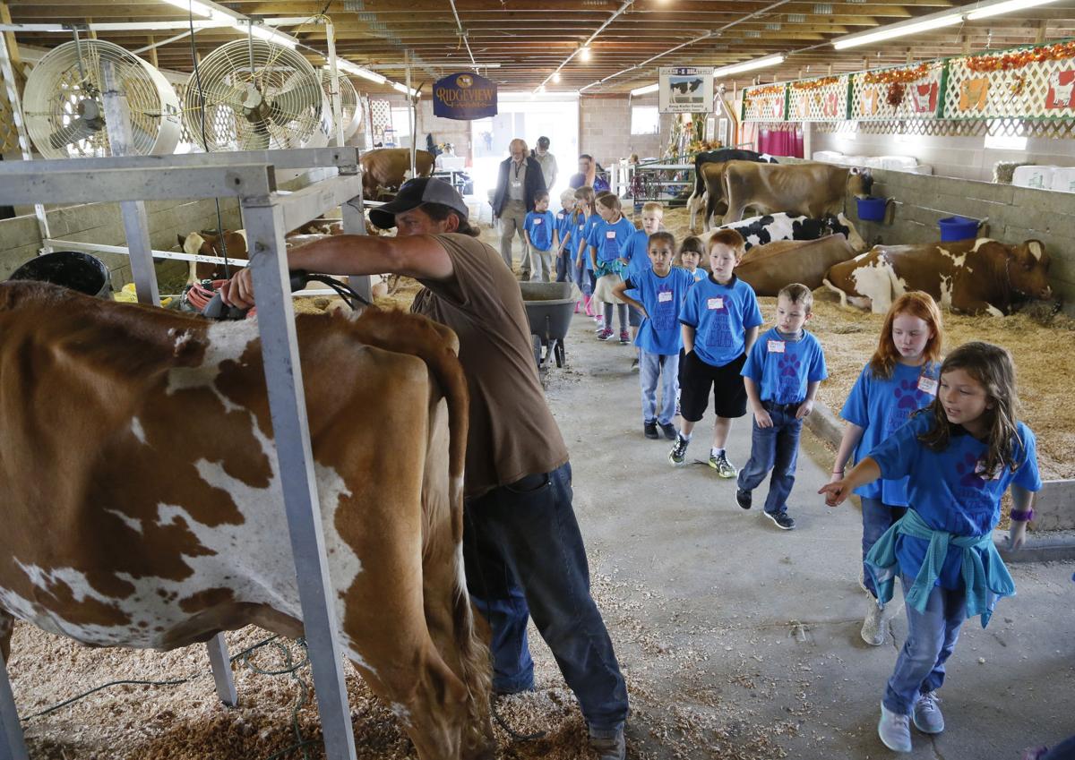 Photos National Cattle Congress 2016 Photo Galleries