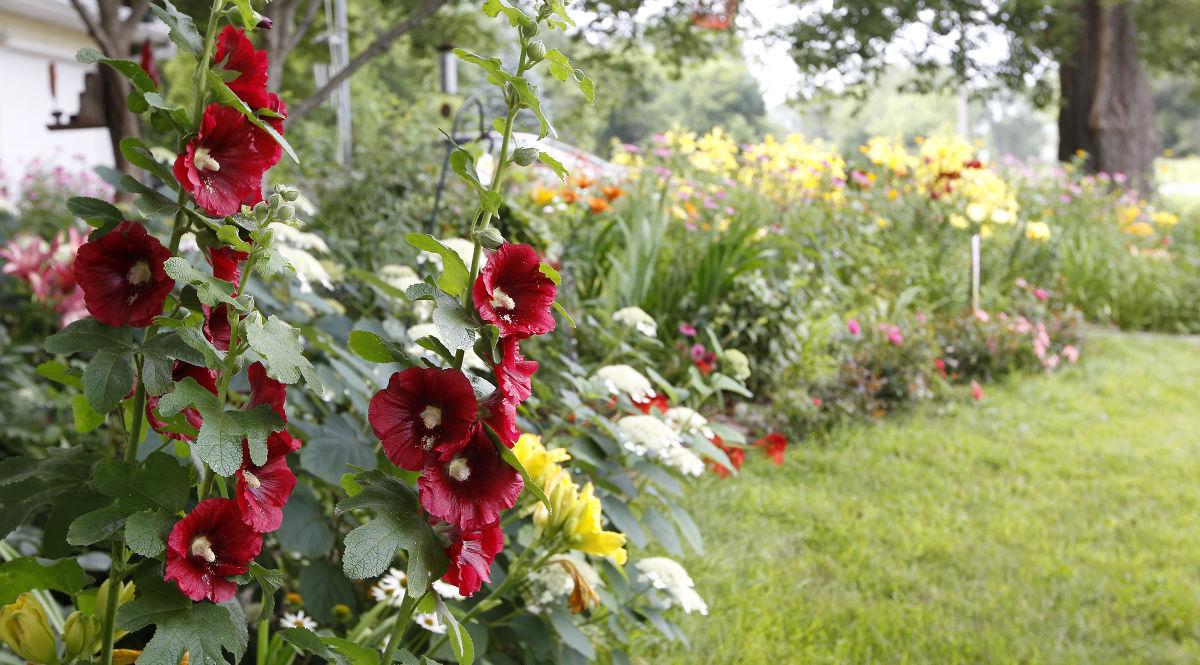 Gardens give front yards beauty, personality -- and a lot less mowing