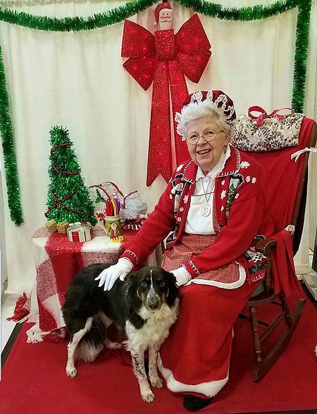 petsmart saturday event