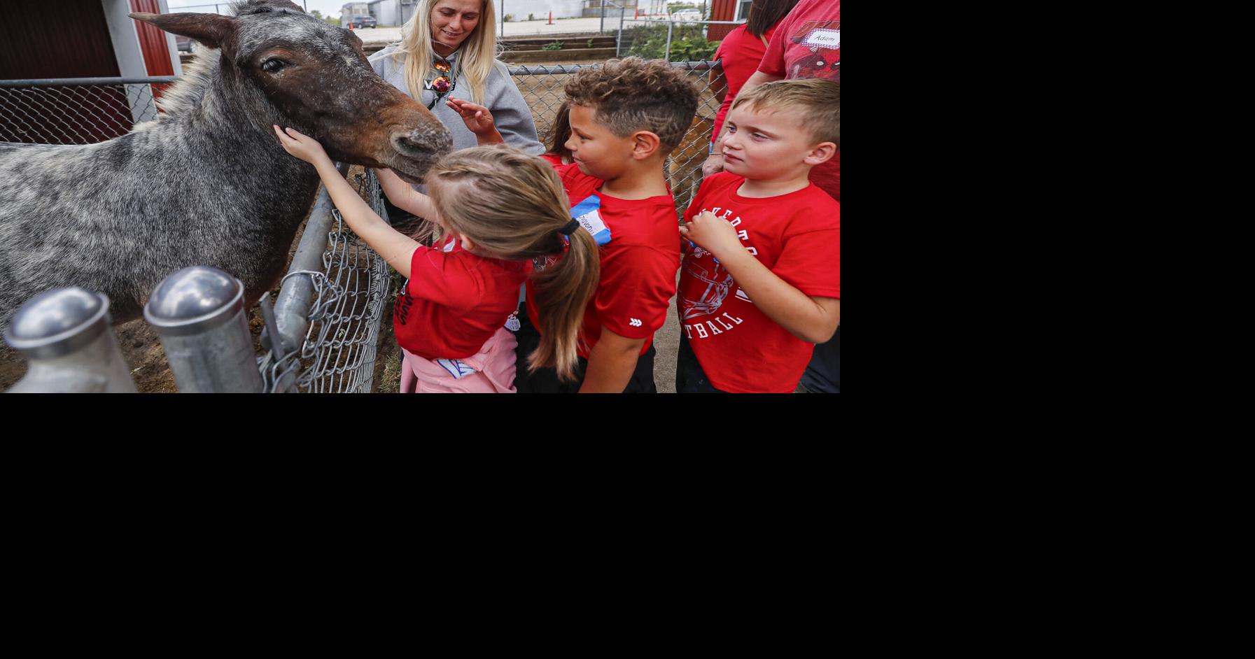 Supervisors give $25K to Cattle Congress, future of fairgrounds still unknown