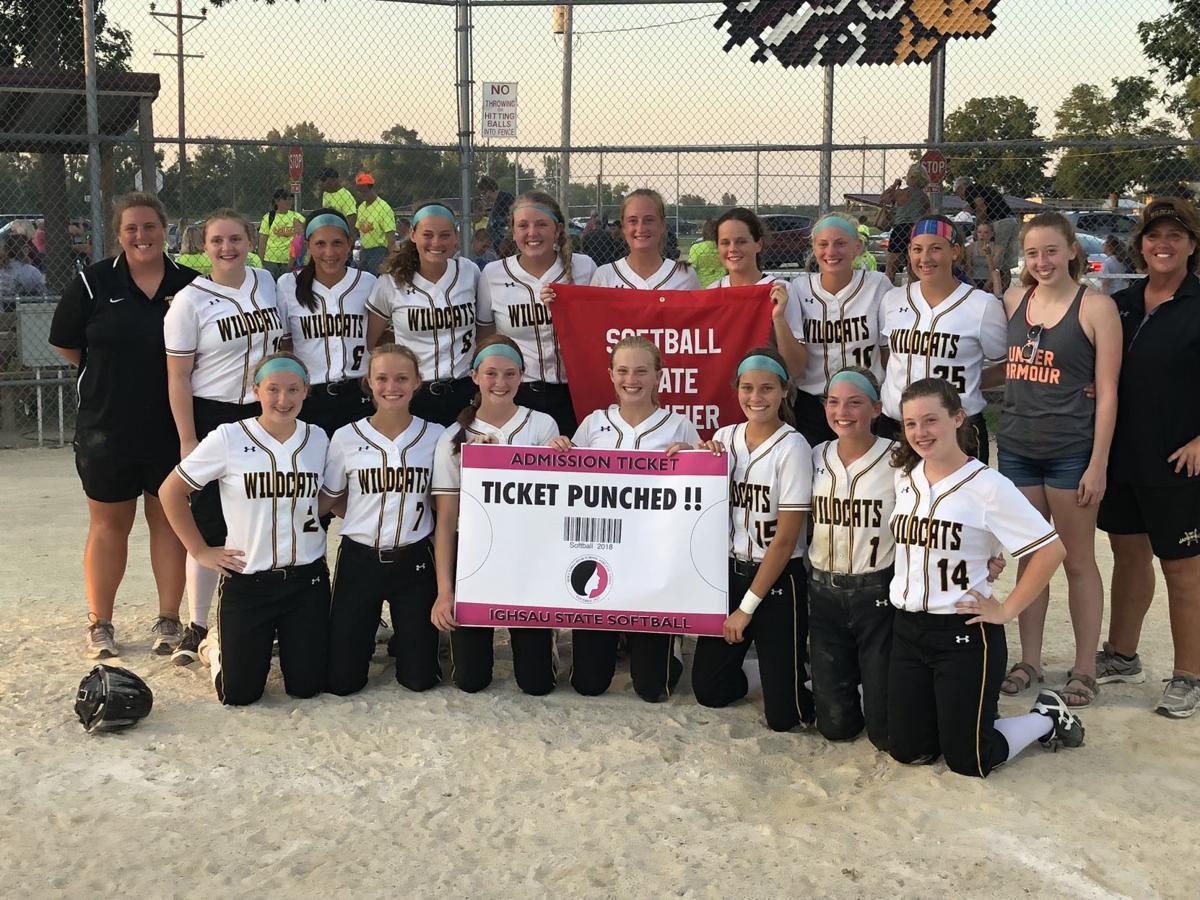 Girls' regional softball Meister's drive sends Janesville to state