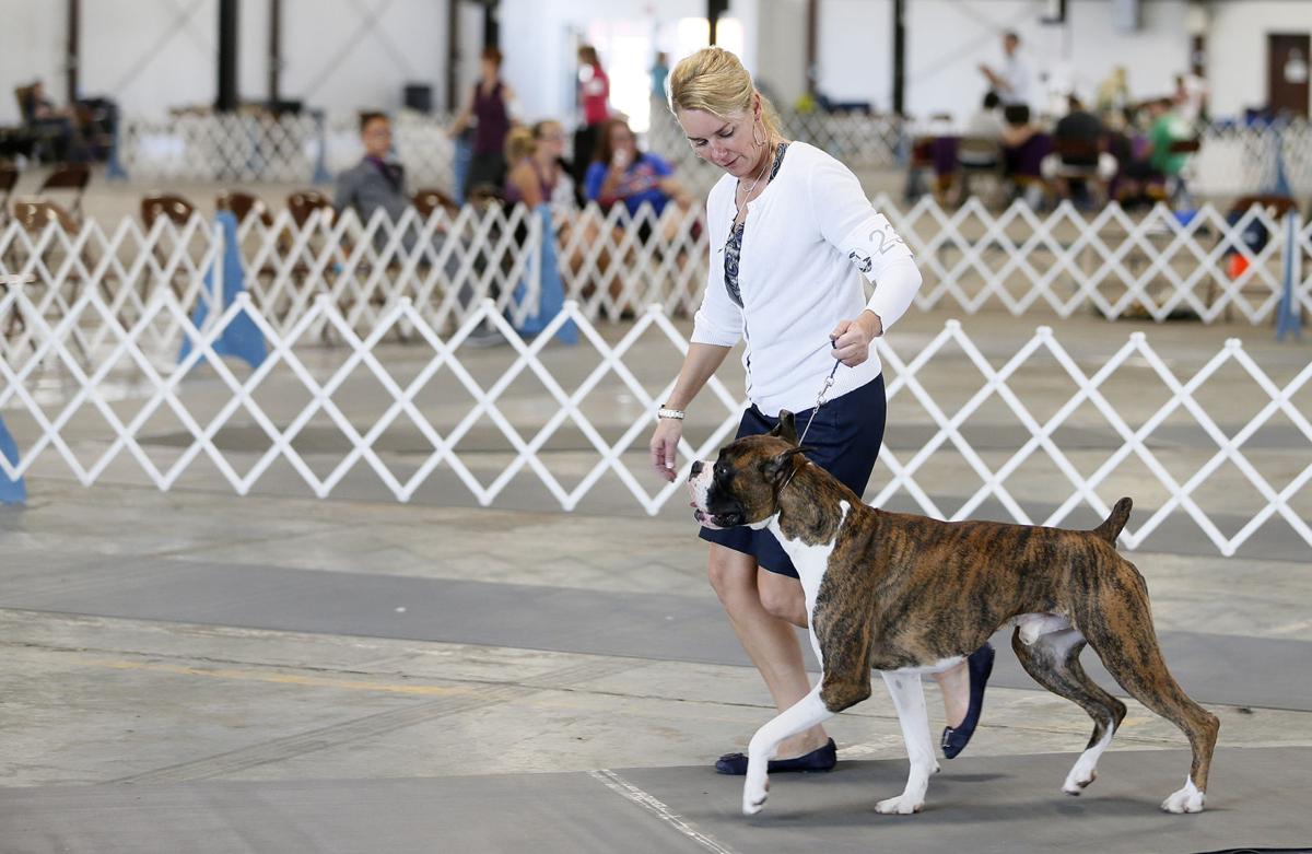 Waterloo Kennel Club Dog Show Waterloo Kennel Club Dog Show