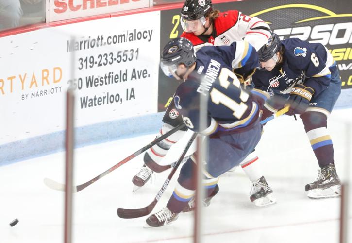 Photos: Stampede vs. Waterloo Black Hawks - Hockey
