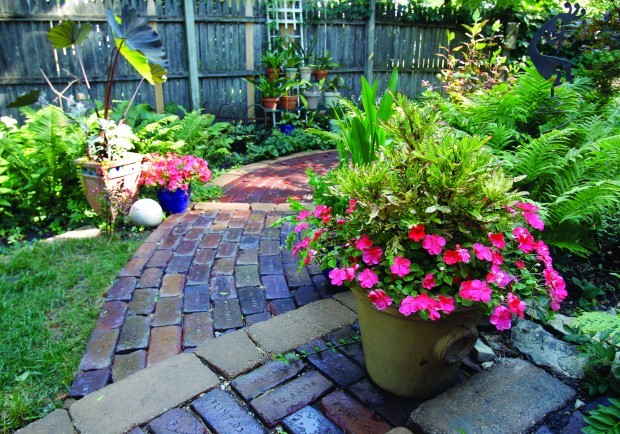 Backyard transformed into relaxing, blooming retreat