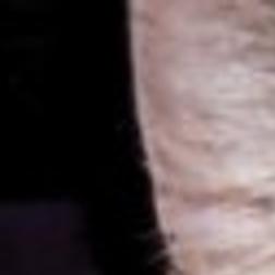3 500 Reward Offered In Cat Injury Case Local News Wcfcourier Com