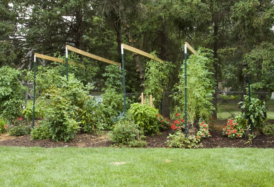 Straw Bale Gardening Pioneer Joel Karsten Shares Successful Method Garden Wcfcourier Com