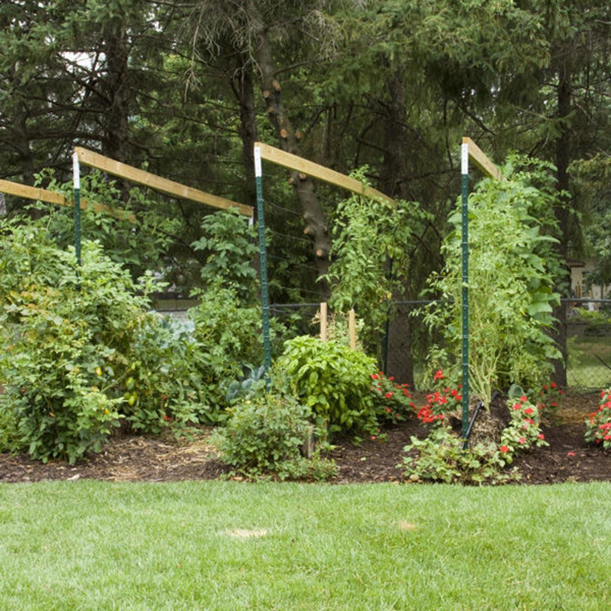 Straw Bale Gardening Pioneer Joel Karsten Shares Successful Method Garden Wcfcourier Com