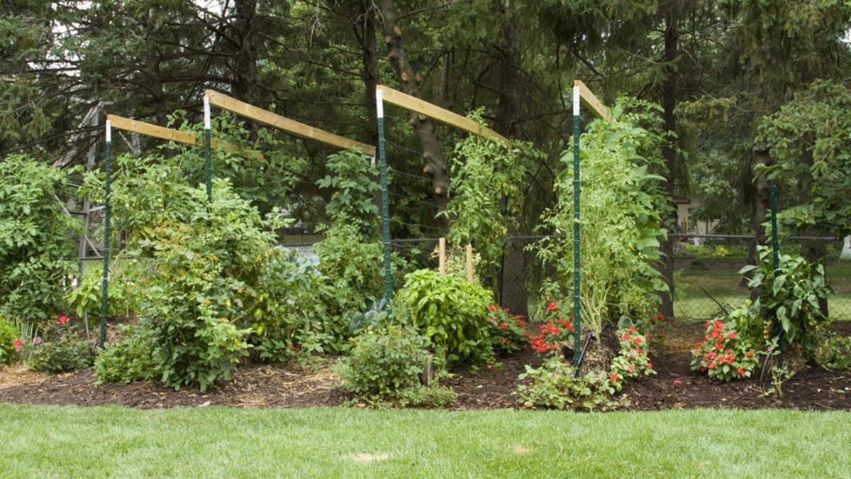 Straw Bale Gardening Pioneer Joel Karsten Shares Successful Method Garden Wcfcourier Com Straw Bale Gardening Pioneer Joel Karsten Shares Successful Method Garden Wcfcourier Com