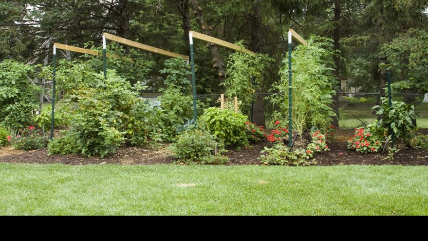 Straw Bale Gardening Pioneer Joel Karsten Shares Successful Method Garden Wcfcourier Com