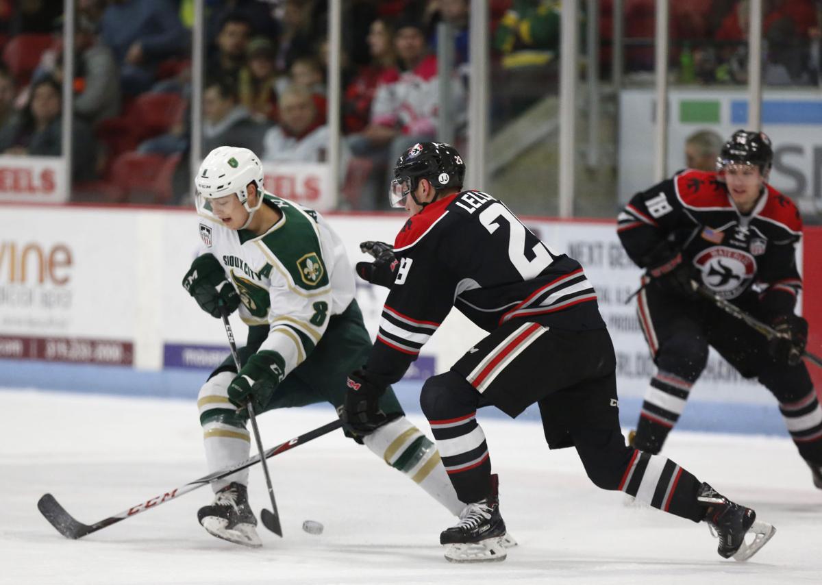 Waterloo native Hunter Lellig set to play in Frozen Four ...