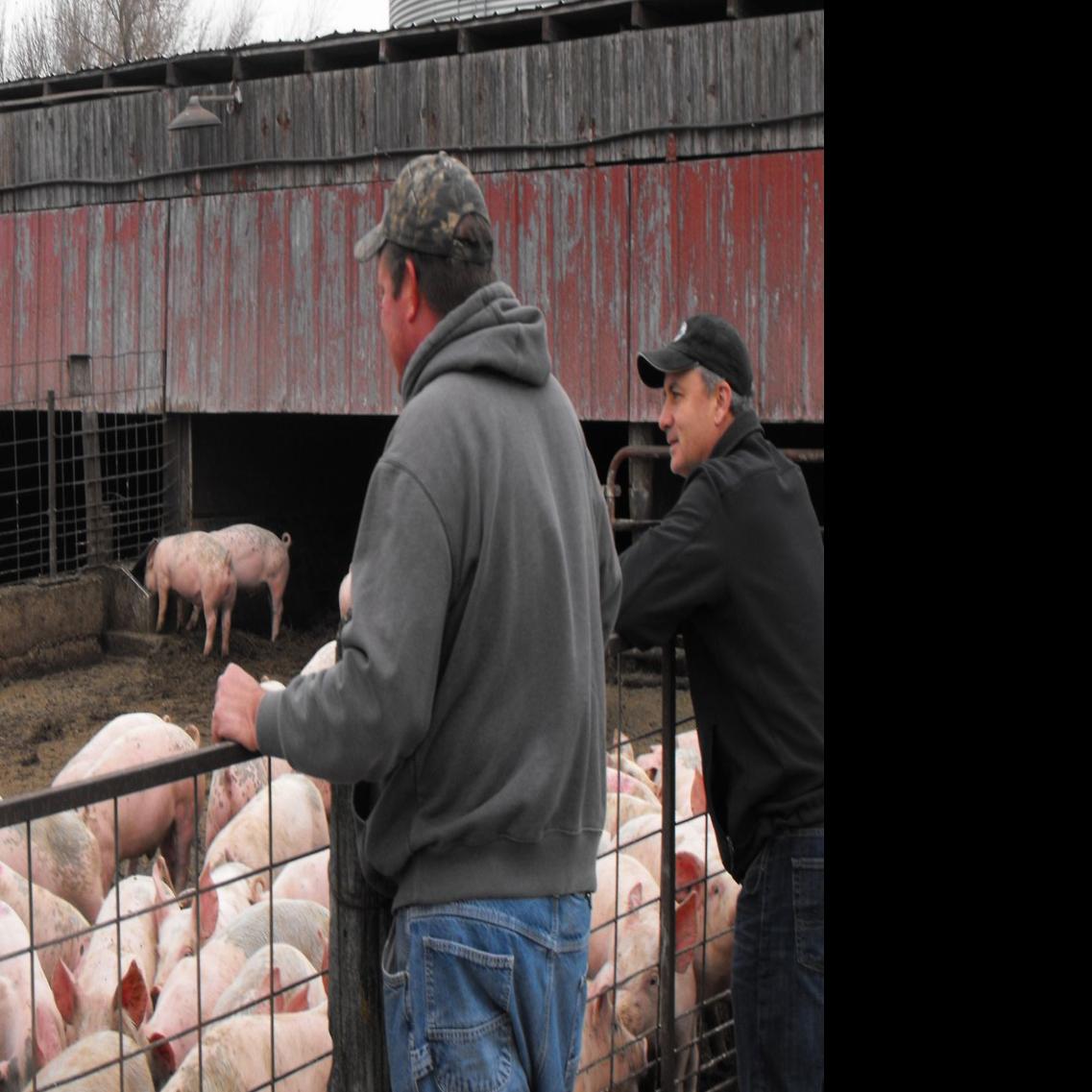 Niman Ranch Popular Among Mitchell County Farmers Business Local News Wcfcourier Com