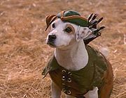 Wishbone dog (Soccer)