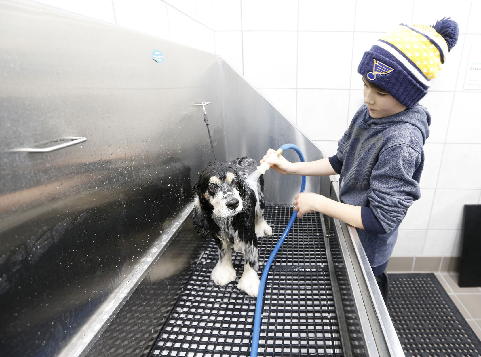 New Cedar Falls pet store rings in the new year