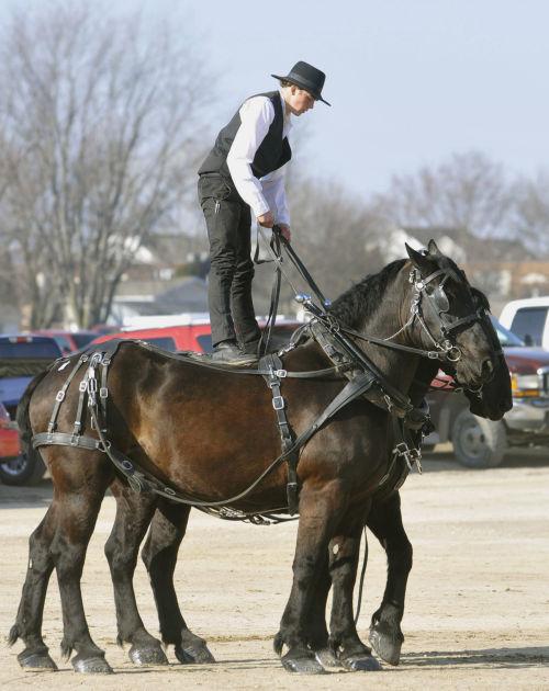 Waverly sale draws horse lovers