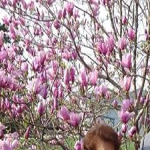 Marvin Spencer Had Golden Voice Personality Local Entertainment Wcfcourier Com Tracie spencer is an american r&b and pop singer.