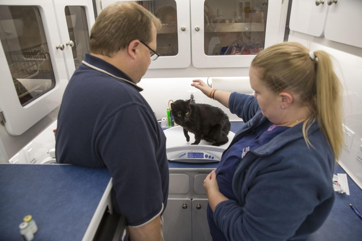 Taylor Veterinary Hospital offers clinic on wheels Local News