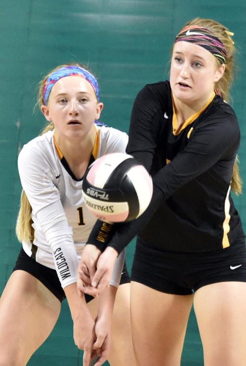 111116TH-Janesville-Hudson-vball-7
