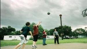 Gimme Shelter News Wcfcourier Com