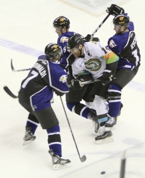 Quad-City Mallards announce suspension of operations | Hockey