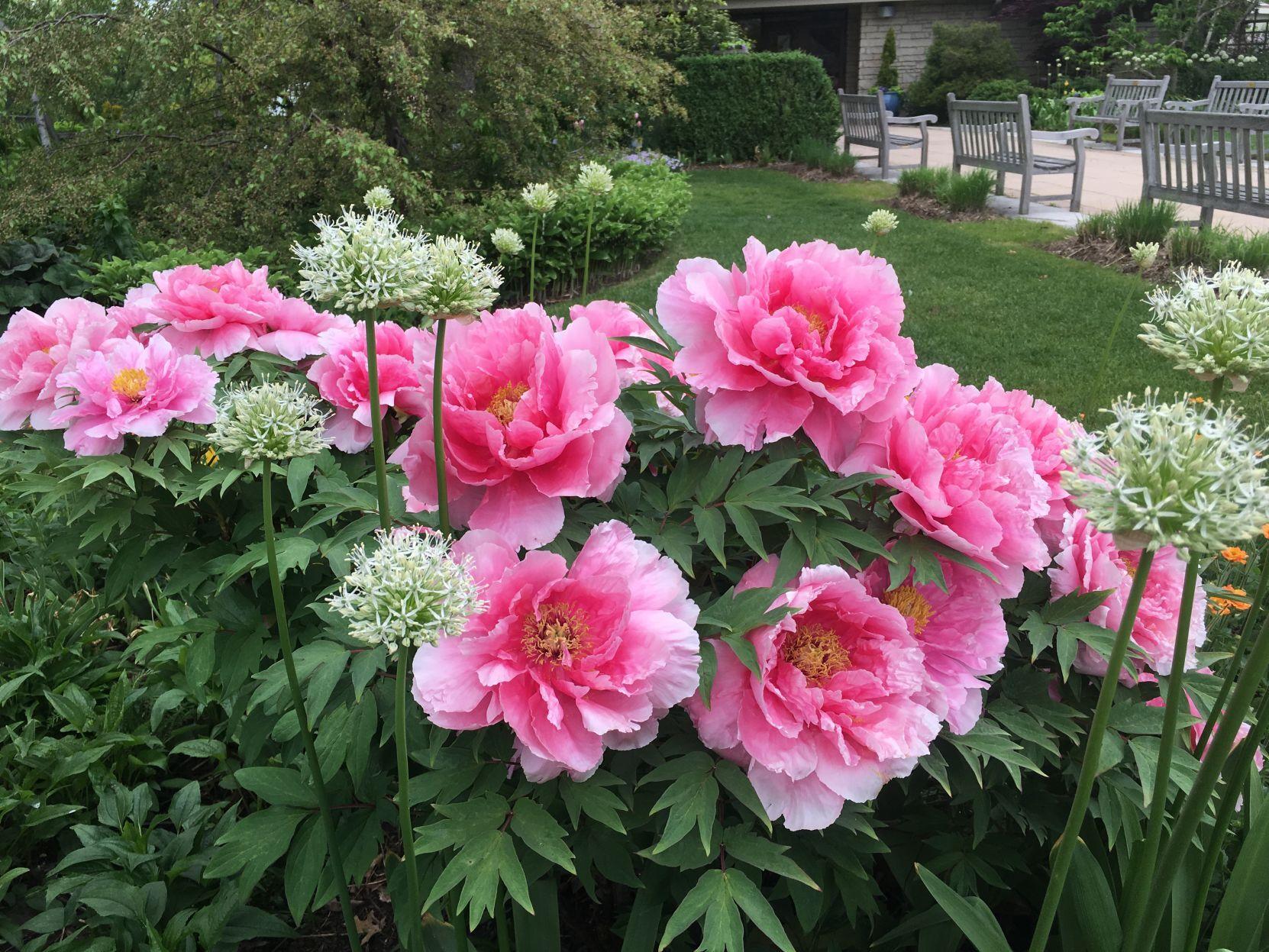 creating beautiful spring combos