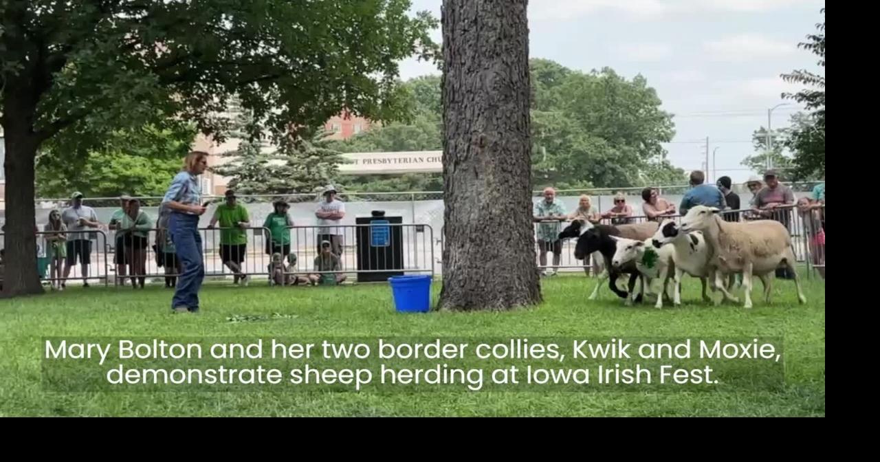 Kilts cover Iowa Irish Fest grounds during 20th annual event