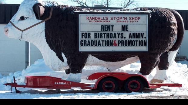 Randall S Grocery Bull In Hudson Local News Wcfcourier Com