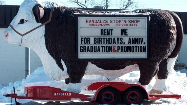 Randall S Grocery Bull In Hudson Local News Wcfcourier Com