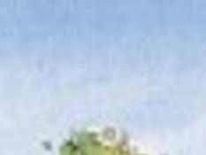 Two Levels Of Wrap Around Porches Promises Year Round Relaxation House Plans Wcfcourier Com two levels of wrap around porches