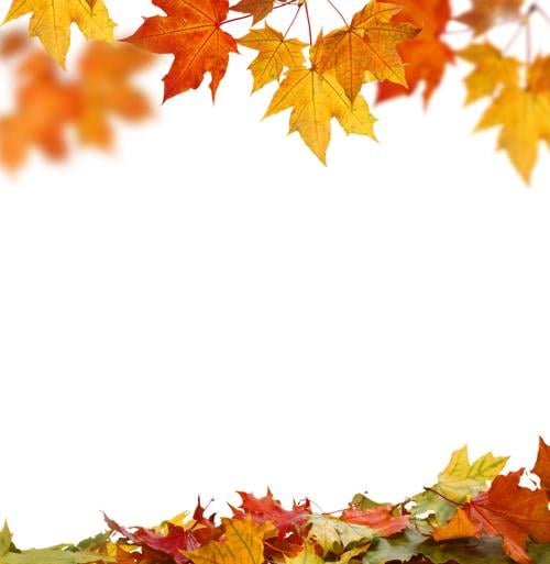 leaves header footer wcfcourier com autumn header