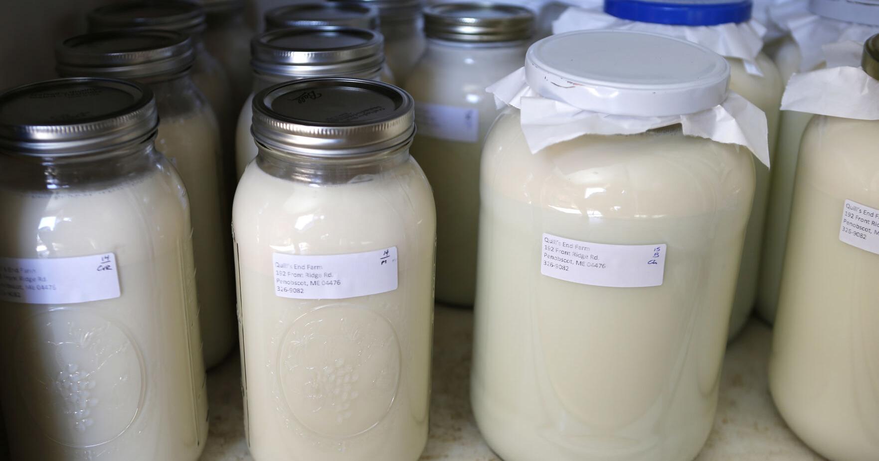 More states legalize unpasteurized milk sales, despite risks - Vimarsana News