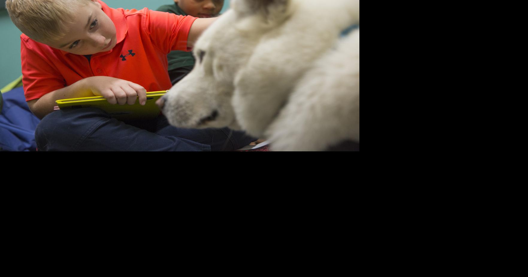 Therapy dog helps Poyner students improve reading skills