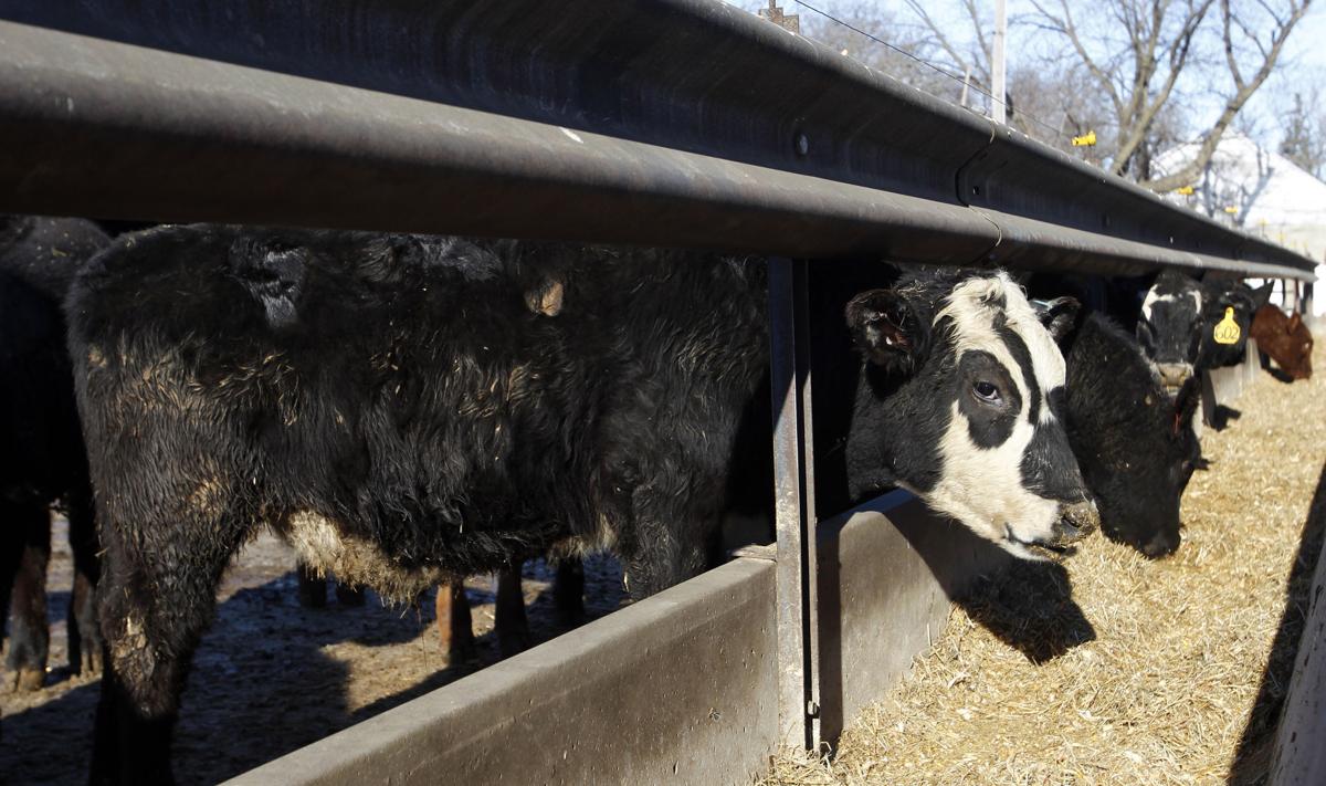 Performance Livestock Analytics Next wave agtrepreneurs Progress2017