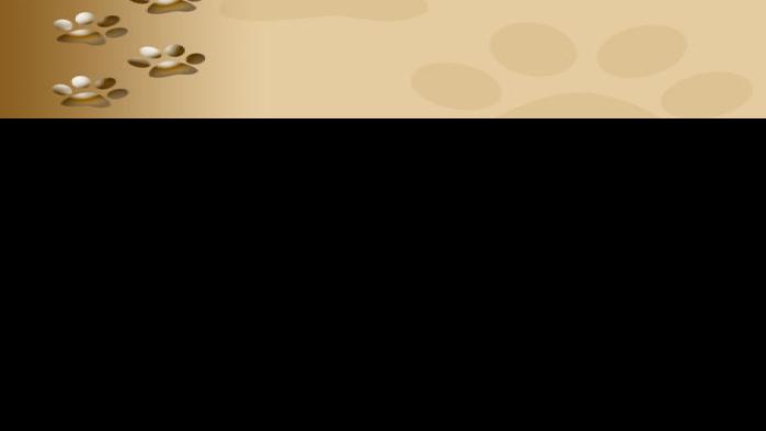 dog-paw-print-background | | wcfcourier.com