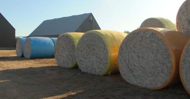 Shutdown leaves Alabama farmers hoping for quick resolution