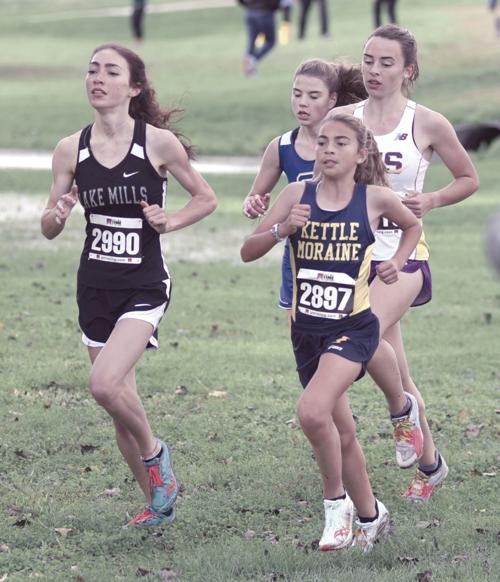 Dressel leads L-Cats