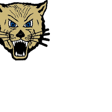 Football: L-Cats humbled by Freedom in season opener