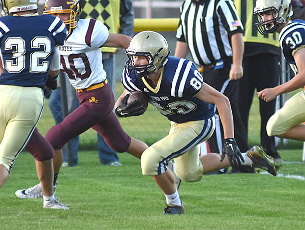 PHOENIX FOOTBALL!, Local