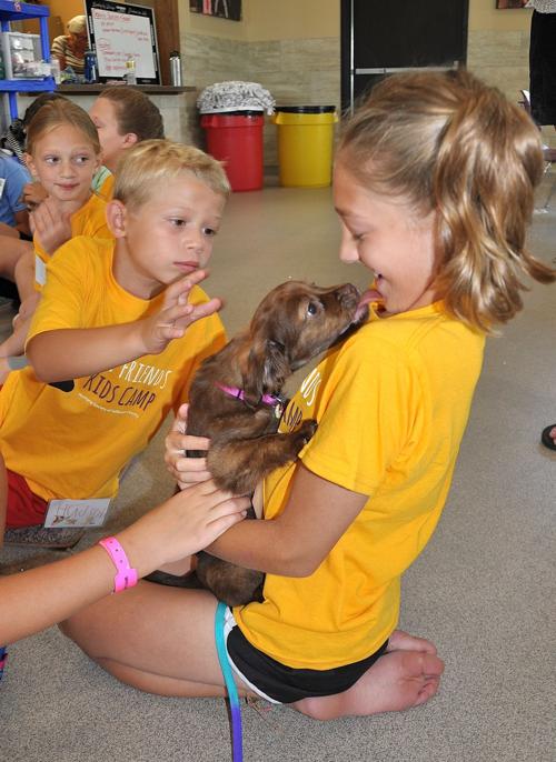 Furry friends camp