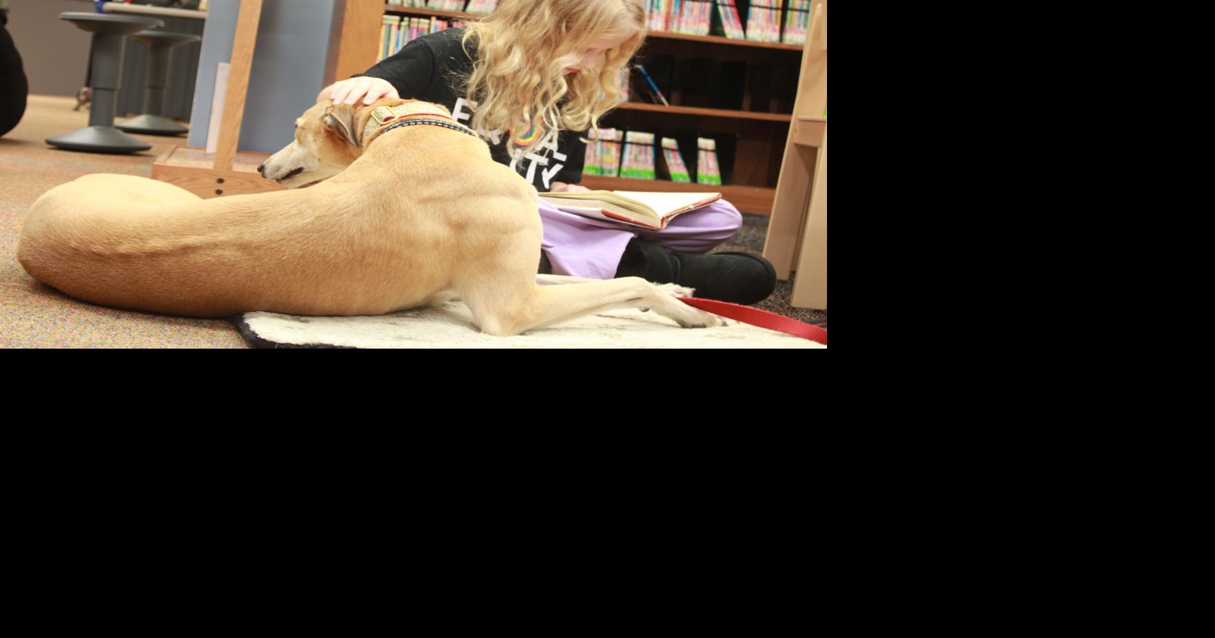 Jefferson Public Library invites all ages to read next to therapy dogs ...