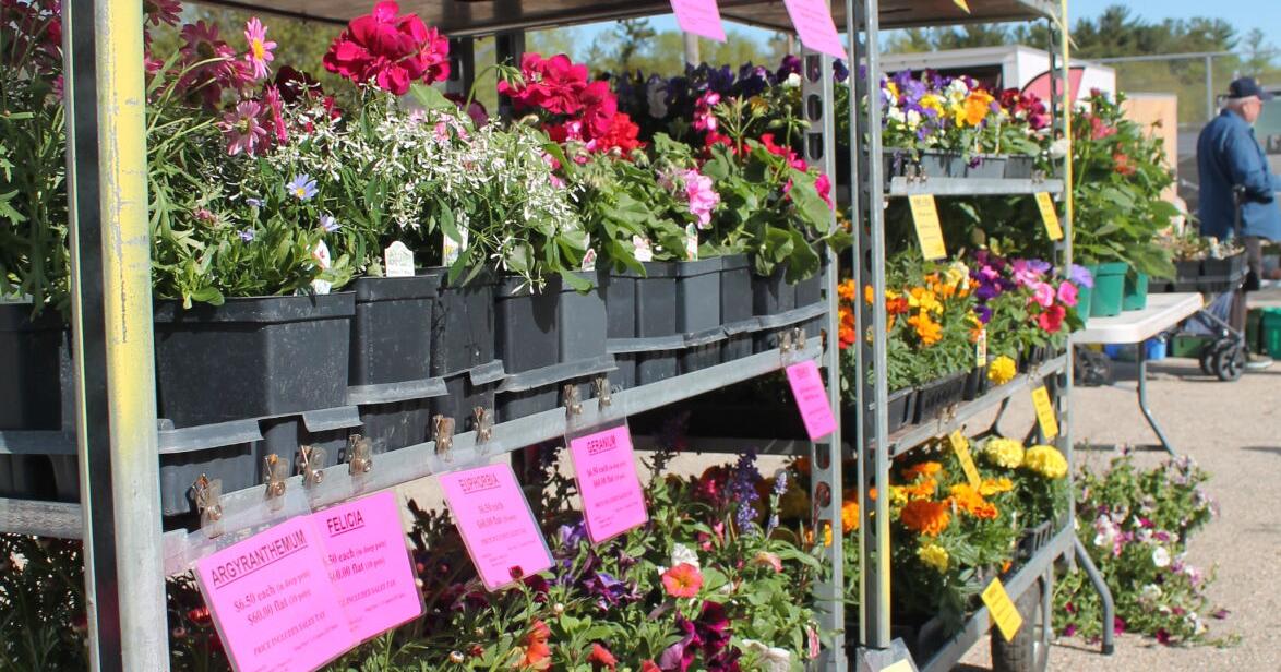 Watertown Farmers Market opens for the season
