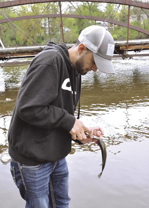 One fish, two fish