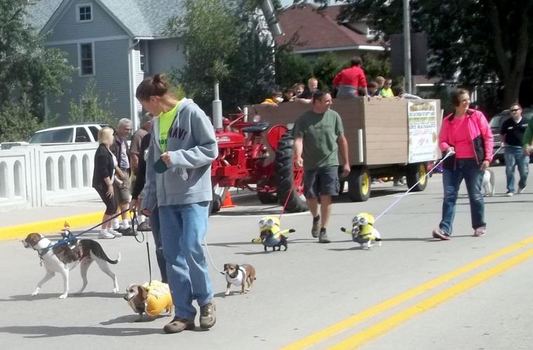 Waterloo sees sun for Wiener and Kraut Day Local News