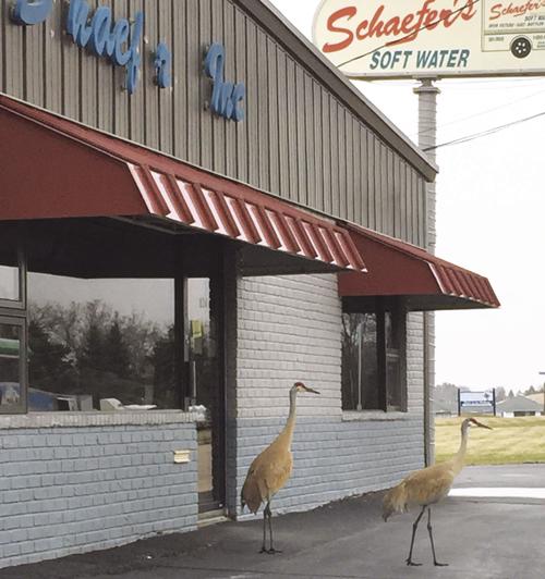 store is closed