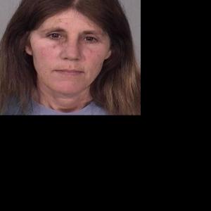 Woman pleads not guilty to embezzlement charges | Local News | wdtimes.com