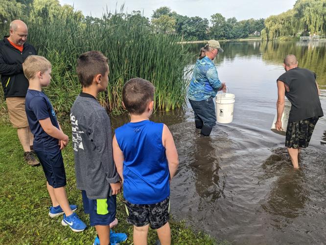 Rock River rescue foundation releases native fish Local News