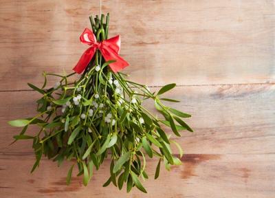 A Christmas icon: The truth behind the mistletoe